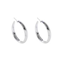 Iron Earring, silver color plated, fashion jewelry & for woman, nickel, lead & cadmium free, Sold By Pair