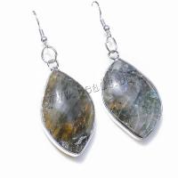 Iron Earring with Labradorite irregular fashion jewelry m. mm Sold By Pair