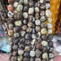 Perles bijoux en pierres gemmes, Kambaba-Jasper, pepite, poli, DIY, couleurs mélangées, 8x10mm, Environ 40PC/brin, Vendu par brin