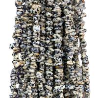 Abalorio de Piedra Dalmata, dálmata, Pepitas, pulido, Bricolaje, color mixto, 5x8mm, Vendido para aproximado 80 cm Sarta