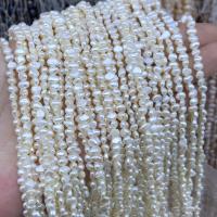Naturalne perły słodkowodne perełki luźne, Perła naturalna słodkowodna, biżuteria moda & DIY & różnej wielkości do wyboru, biały, sprzedawane na około 38 cm Strand