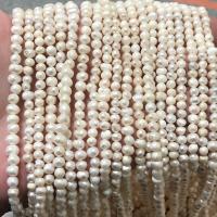 Naturliga sötvattenspärla lösa pärlor, Freshwater Pearl, mode smycken & DIY, vit, 4.50mm, Såld Per Ca 38 cm Strand