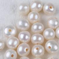 Naturliga sötvattenspärla lösa pärlor, Freshwater Pearl, DIY, vit, 10-11mm, Säljs av PC