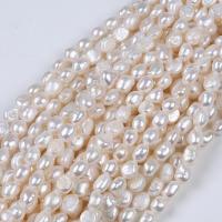 Barock odlad sötvattenspärla pärlor, Freshwater Pearl, DIY, vit, 7-8mm, Såld Per Ca 36 cm Strand