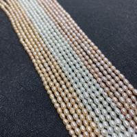 Natural Freshwater Pearl Loose Beads, DIY & different size for choice, more colors for choice, Sold Per Approx 38 cm Strand