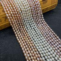 Naturalne perły słodkowodne perełki luźne, Perła naturalna słodkowodna, DIY & różnej wielkości do wyboru, dostępnych więcej kolorów, sprzedawane na około 38 cm Strand