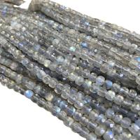 Natural Labradorite Beads, Square, DIY & faceted, grey, 4x4mm, Sold Per Approx 39 cm Strand