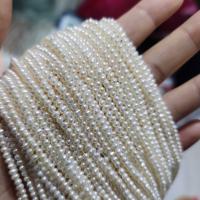 Perles de nacre rondes de culture d'eau douce, perle d'eau douce cultivée, DIY, blanc, about:2-3mm, Vendu par Environ 36 cm brin