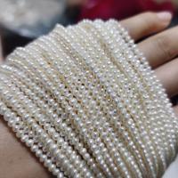 Perles de nacre rondes de culture d'eau douce, perle d'eau douce cultivée, DIY, blanc, about:2-3mm, Vendu par Environ 36-37 cm brin