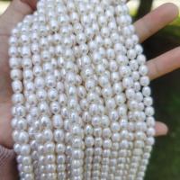 Perlas Arroz Freshwater, Perlas cultivadas de agua dulce, Bricolaje, Blanco, about:6-7mm, Vendido para aproximado 36 cm Sarta