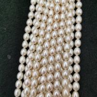 Perlas Arroz Freshwater, Perlas cultivadas de agua dulce, Bricolaje & diverso tamaño para la opción, Blanco, Vendido para aproximado 37 cm Sarta