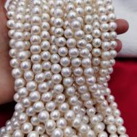 Riso coltivato in perla d'acqua dolce, perla d'acquadolce coltivata naturalmente, DIY, bianco, about:8-9mm, Venduto per Appross. 37 cm filo