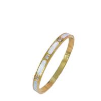 Titanium Steel Bangle, with Resin Shell, Vacuum Ion Plating, micro pave cubic zirconia & for woman, more colors for choice, 6mm, Inner Diameter:Approx 48x58mm, Sold By PC