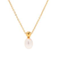 Stainless Steel Jewelry Necklace 304 Stainless Steel with Plastic Pearl with 1.97inch extender chain 18K gold plated fashion jewelry & for woman golden 5mm Sold Per Approx 16.14 Inch Strand