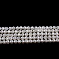 Naturalne perły słodkowodne perełki luźne, Perła naturalna słodkowodna, biżuteria moda & DIY, biały, 10-11mm, sprzedawane na 36 cm Strand