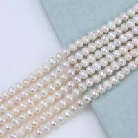 Naturliga sötvattenspärla lösa pärlor, Freshwater Pearl, DIY, vit, 5-6mm, Såld Per Ca 36 cm Strand