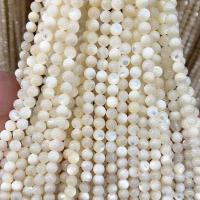 Weiße Lippenschale Perlen, rund, poliert, DIY & verschiedene Größen vorhanden, weiß, verkauft per ca. 38 cm Strang