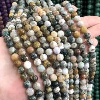 Gemstone šperky Korálky, Marine Fossil, Kolo, lesklý, DIY & různé velikosti pro výběr, smíšené barvy, Prodáno za Cca 38 cm Strand