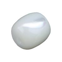 Natural Akoya Cultured Pearl Jewelry Pearl Shell DIY Sold By PC