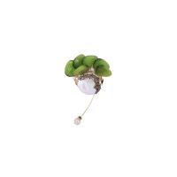 Freshwater Pearl Brooch, Brass, with Freshwater Pearl & Green Quartz, gold color plated, fashion jewelry & for woman, two different colored, 64x45mm, Sold By PC