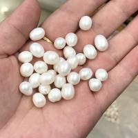 Naturalne perły słodkowodne perełki luźne, Perła naturalna słodkowodna, obyty, biżuteria moda & DIY & bez otworu, dostępnych więcej kolorów, 6x9mm, sprzedane przez PC