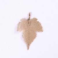 Brass Jewelry Pendants, with Real Leaf, Leaf, plated, DIY & for woman, more colors for choice, nickel, lead & cadmium free, 33x50mm, Sold By PC