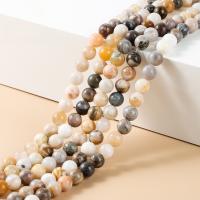 Agate Beads, Bamboo Agate, Round, polished, DIY & different size for choice, multi-colored, Approx 14.56/Strand, Sold By Strand