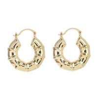 Brass Leverback Earring 304 Stainless Steel real gold plated for woman gold Sold By Pair