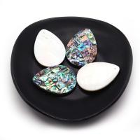 Natural Abalone Shell Pendants, Teardrop, patchwork & DIY, multi-colored, 30x40mm, Sold By PC