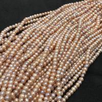 "Akoya Cultured Sea Pearl Oyster Beads", Akoya dirbtiniu būdu išauginti perlai, Turas, Pasidaryk pats, mišrios spalvos, 5-6mm, Parduota už Apytiksliai 38-40 cm Strand
