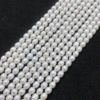 Perles d'eau douce de culture de riz, perle, DIY, blanc, 3.5-4mm, Vendu par Environ 38-40 cm brin