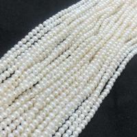 Naturales agua dulce perlas sueltas, perla, Bricolaje, Blanco, 3.5-4mm, Vendido para aproximado 38-40 cm Sarta