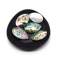 Pingentes naturais da concha de abalone, Concha alabone, Lágrima, DIY, multi colorido, 20x35-25x45mm, vendido por PC