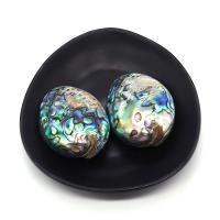 Natural Abalone Shell Pendants Oval DIY multi-colored 30x45- Sold By PC