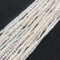 Naturliga sötvattenspärla lösa pärlor, Freshwater Pearl, DIY, vit, 2.5-3mm, Såld Per Ca 38-40 cm Strand