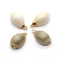 Shell Pendant, with Brass, Conch, gold color plated, DIY, more colors for choice, 20-40mm, Approx 10PCs/Bag, Sold By Bag