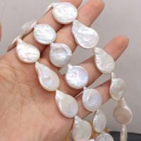Barock kultivierten Süßwassersee Perlen, Natürliche kultivierte Süßwasserperlen, Unregelmäßige, DIY, about:16x22-17x25mm, verkauft per ca. 36 cm Strang