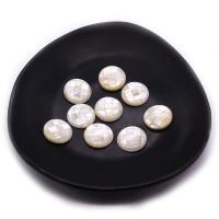 Muschel Cabochons, Weiße Muschel, flache Runde, Patchwork & DIY, weiß, 15mm, verkauft von PC
