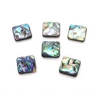 Shell Cabochons Abalone Shell Square DIY multi-colored Sold By PC