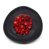Perles d'espacement Bijoux, corail synthétique, fleur, gravé, DIY & effet 3D, rouge, 10mm, Vendu par PC