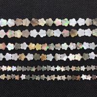 South Sea Shell perle, Cvijet, možete DIY & različite veličine za izbor, multi-boji, Prodano Per Približno 38 cm Strand