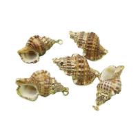 Shell Pendants, with Brass, Conch, gold color plated, DIY, mixed colors, 23x37-35x40mm, Sold By PC