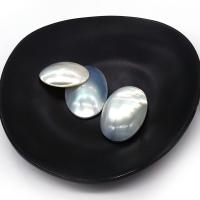 Shell Cabochons Natural Seashell Oval DIY multi-colored 20x30- Sold By PC