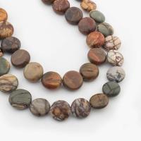 Perles bijoux en pierres gemmes, Jaspe d'impression, Plat rond, DIY, couleurs mélangées, 12x6mm, Vendu par Environ 41.5 cm brin
