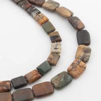 Koraliki z kameniem szlachetnym, Jaspis impresyjny, Prostokąt, DIY & różnej wielkości do wyboru, mieszane kolory, sprzedawane na około 40.3 cm Strand