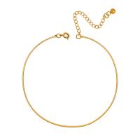 Fashion Jewelry Anklet, Acier titane, avec 1.97inch chaînes de rallonge, Placage, bijoux de mode & pour femme, plus de couleurs à choisir, 1mm, Longueur:Environ 8.27 pouce, Vendu par PC