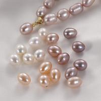 Spacer Beads Jóias, Pérolas de água doce, joias de moda & DIY, Mais cores pare escolha, 8mm, vendido por PC
