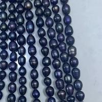 Rice ferskvandskulturperle Beads, Ferskvandsperle, Ris, farvet, sort, 7-8mm, Solgt Per Ca. 16 inch Strand