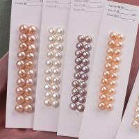 Cultured Half Drilled Freshwater Pearl Beads Natural & DIY & half-drilled Sold By Pair