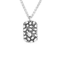 Титановые стали ожерелье, титан, полированный, ювелирные изделия моды & разные стили для выбора & Мужский, 40x24mm, длина:60 см, продается PC